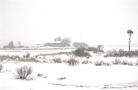 Photograph of Taylor's Island in Snow by John Picker