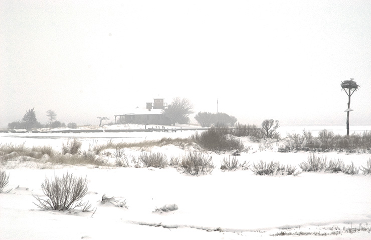 photograph of Taylor's Island in Snow